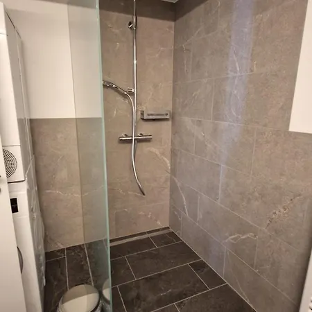 公寓 Tulipana 米施泰尔